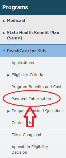 dch.Georgia.gov Peachcare Kids